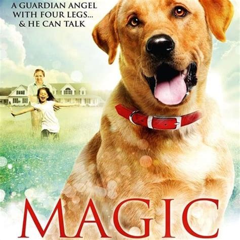 The Magic Dog Chronicles: Extraordinary Stories of Canine Enchantments